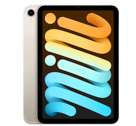 iPad Mini